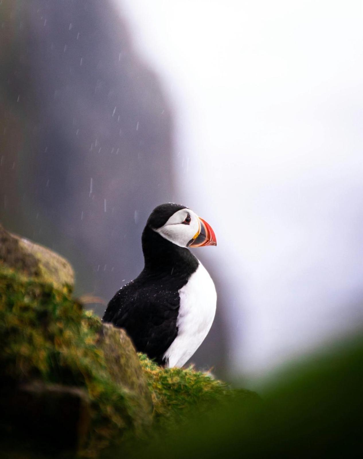 Puffin Rooms リスドゥーンバーナ エクステリア 写真