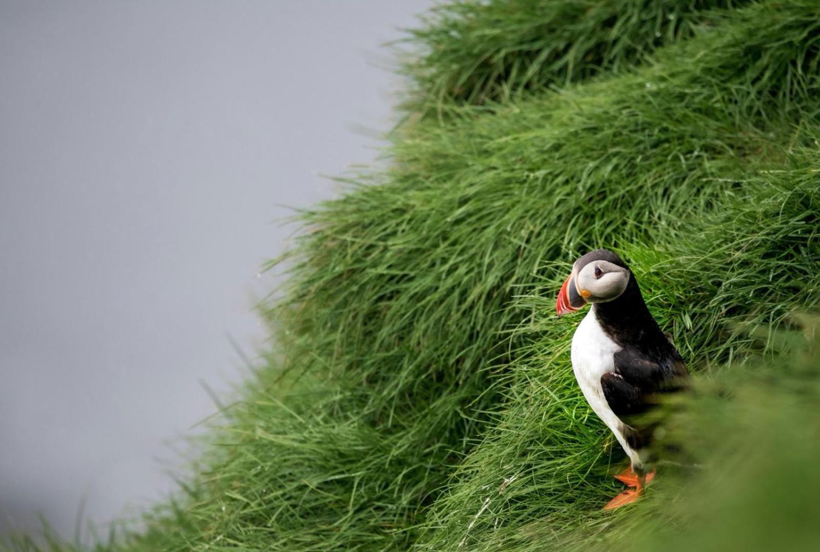 Puffin Rooms リスドゥーンバーナ エクステリア 写真